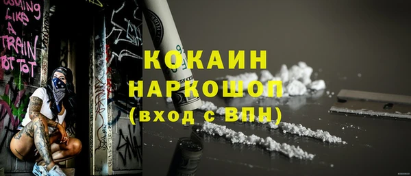 хмурый Алексин