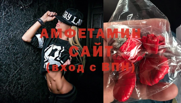 хмурый Алексин