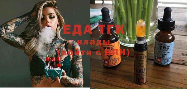 хмурый Алексин