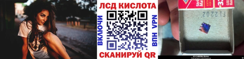 продажа наркотиков  Салехард  Наркотические марки 1,5мг 